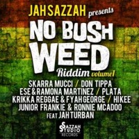 no bush weed riddim
