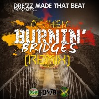 O-shen Burnin' Bridges DMTB Remix Album Art