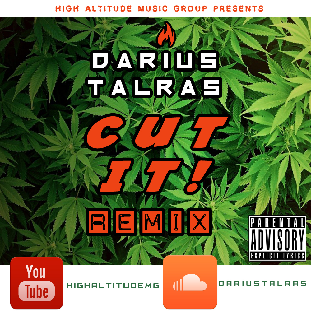 Art Cover - Darius Talras - Cut It Remix
