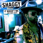 Shaggy ft. Rayon - It Wasn't Me