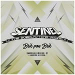 Sentinel Sound - DHM Vol 37 - Brik Pon Brik [2020]